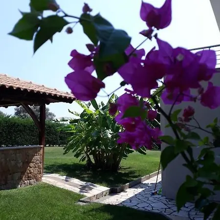 빌라 Seaside In Chalkidiki 포씨디