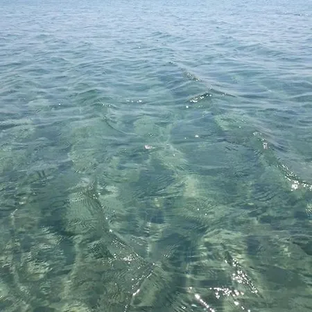 빌라 Seaside In Chalkidiki 포씨디